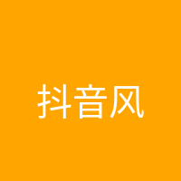 抖音风